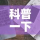 玩家必备教程“炸 金花的房卡在哪里买的”详细房卡教程