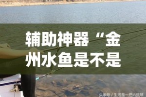 辅助神器“金州水鱼是不是有挂”专业师傅带你一起了解(确实有挂