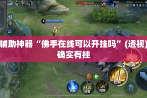 玩家辅助神器“佛手在线可以开挂吗”(透视)其实确实有挂