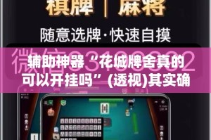 辅助神器“花城牌舍真的可以开挂吗”(透视)其实确实有挂