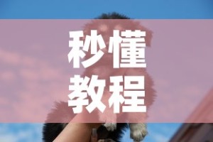 秒懂教程“斗牛房卡牛牛房卡”获取房卡教程-哔哩哔哩