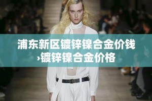 浦东新区镀锌镍合金价钱›镀锌镍合金价格