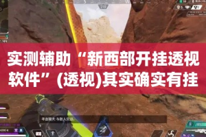 实测辅助“新西部开挂透视软件”(透视)其实确实有挂