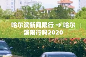 哈尔滨新闻限行 → 哈尔滨限行吗2020