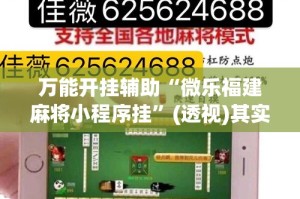 万能开挂辅助“微乐福建麻将小程序挂”(透视)其实确实有挂