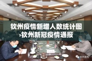 钦州疫情新增人数统计图›钦州新冠疫情通报