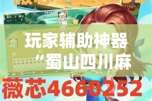 玩家辅助神器“蜀山四川麻将怎么设置都是赢”分享用挂教程