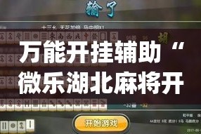 万能开挂辅助“微乐湖北麻将开挂神器”(作弊)辅助透视教程
