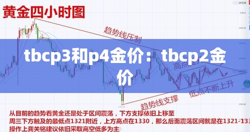 tbcp3和p4金价：tbcp2金价