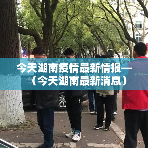 今天湖南疫情最新情报—（今天湖南最新消息）