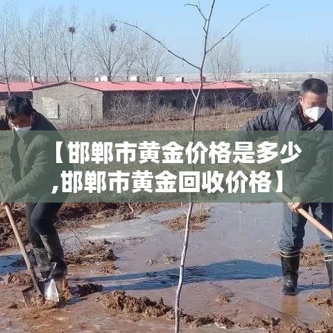【邯郸市黄金价格是多少,邯郸市黄金回收价格】