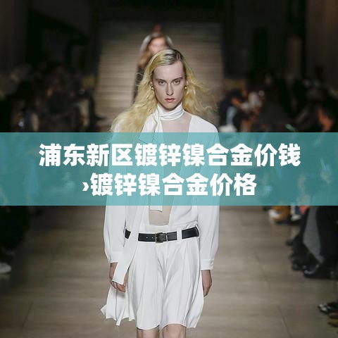 浦东新区镀锌镍合金价钱›镀锌镍合金价格
