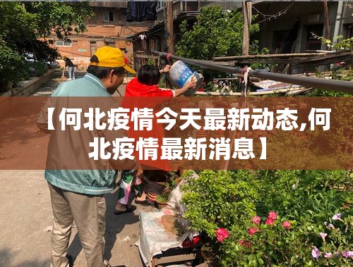 【何北疫情今天最新动态,何北疫情最新消息】