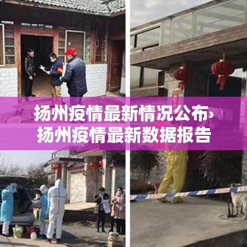 扬州疫情最新情况公布›扬州疫情最新数据报告