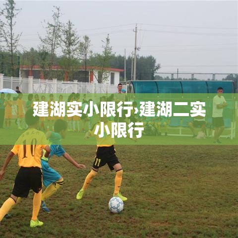 建湖实小限行›建湖二实小限行