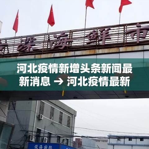 河北疫情新增头条新闻最新消息 → 河北疫情最新消息今天新增一例 新闻