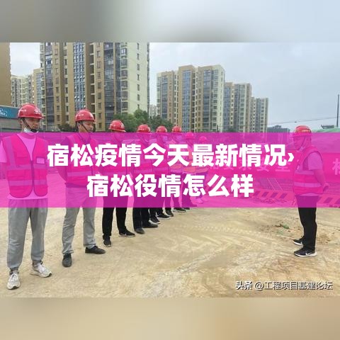 宿松疫情今天最新情况›宿松役情怎么样