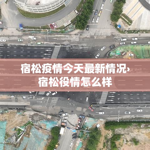 宿松疫情今天最新情况›宿松役情怎么样