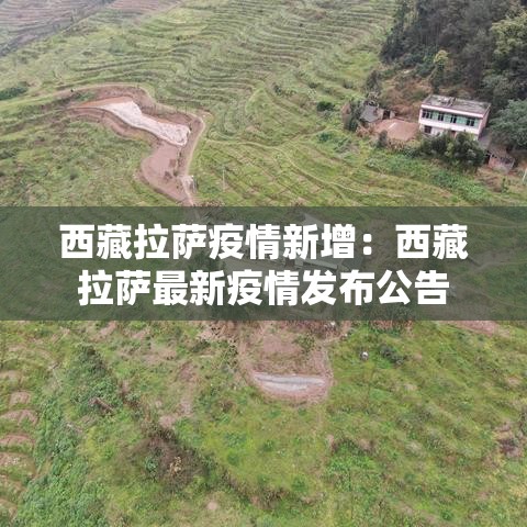 西藏拉萨疫情新增：西藏拉萨最新疫情发布公告