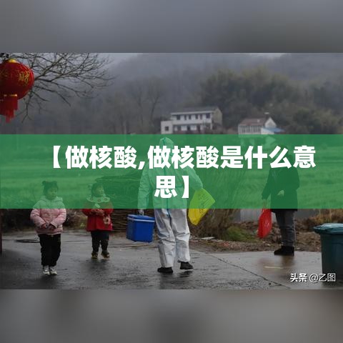 【做核酸,做核酸是什么意思】