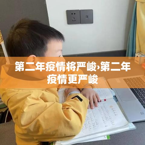 第二年疫情将严峻›第二年疫情更严峻
