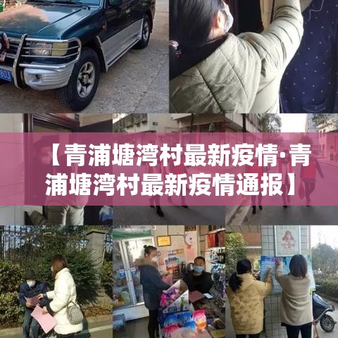 【青浦塘湾村最新疫情·青浦塘湾村最新疫情通报】
