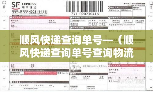 顺风快递查询单号—（顺风快递查询单号查询物流信息）