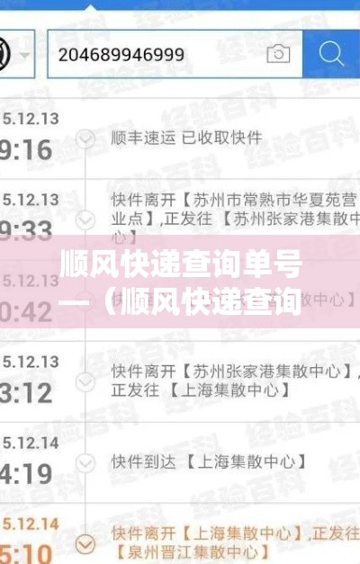 顺风快递查询单号—（顺风快递查询单号查询物流信息）