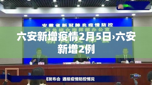六安新增疫情2月5日›六安新增2例