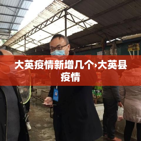 大英疫情新增几个›大英县疫情