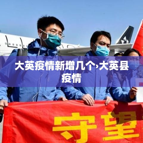 大英疫情新增几个›大英县疫情