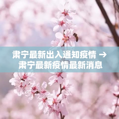 肃宁最新出入通知疫情 → 肃宁最新疫情最新消息