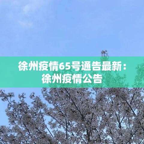徐州疫情65号通告最新：徐州疫情公告