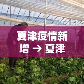 夏津疫情新增 → 夏津县疫情风险等级