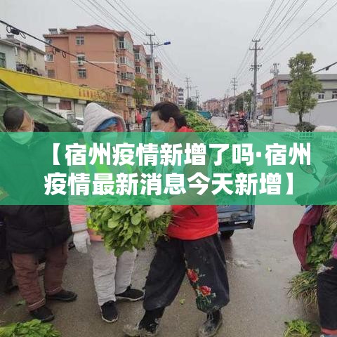 【宿州疫情新增了吗·宿州疫情最新消息今天新增】