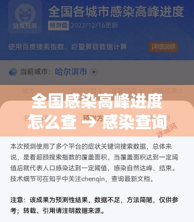 全国感染高峰进度怎么查 → 感染查询系统