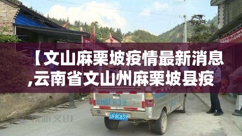 【文山麻栗坡疫情最新消息,云南省文山州麻栗坡县疫情】