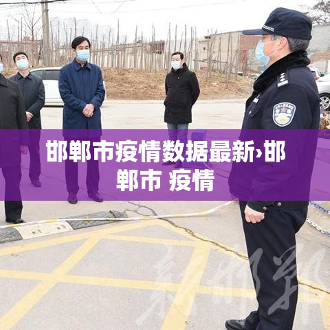 邯郸市疫情数据最新›邯郸市 疫情