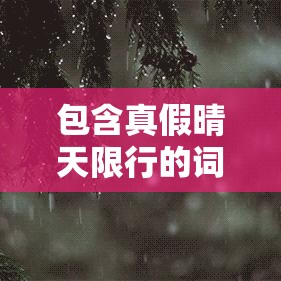 包含真假晴天限行的词条