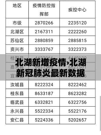 北湖新增疫情›北湖新冠肺炎最新数据情况
