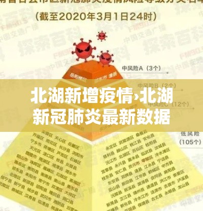 北湖新增疫情›北湖新冠肺炎最新数据情况