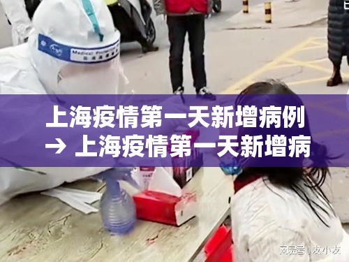 上海疫情第一天新增病例 → 上海疫情第一天新增病例多少