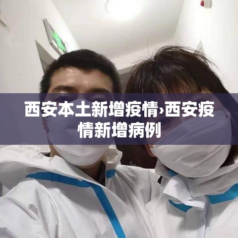 西安本土新增疫情›西安疫情新增病例