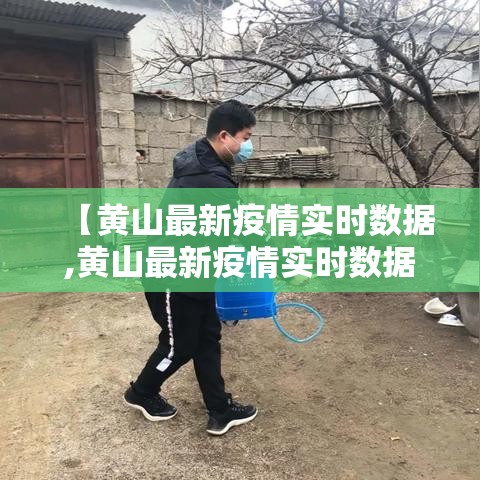 【黄山最新疫情实时数据,黄山最新疫情实时数据图】 【黄山最新疫情实时数据,黄山最新疫情实时数据图】