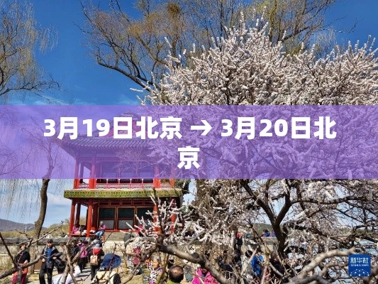 3月19日北京 → 3月20日北京