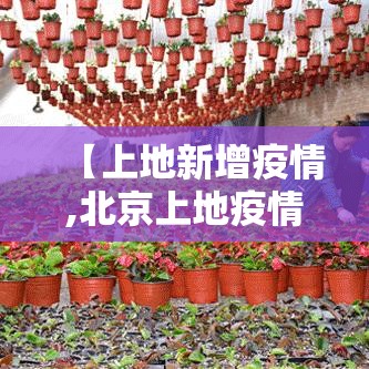 【上地新增疫情,北京上地疫情】 【上地新增疫情,北京上地疫情】