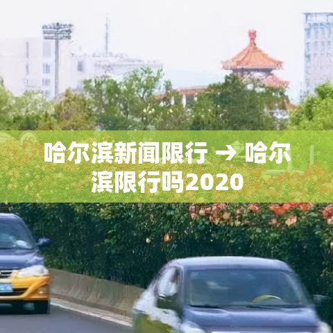 哈尔滨新闻限行 → 哈尔滨限行吗2020