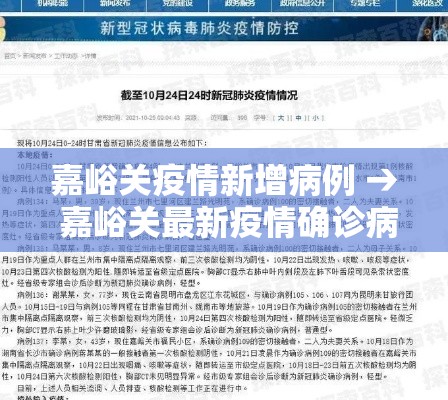 嘉峪关疫情新增病例 → 嘉峪关最新疫情确诊病例
