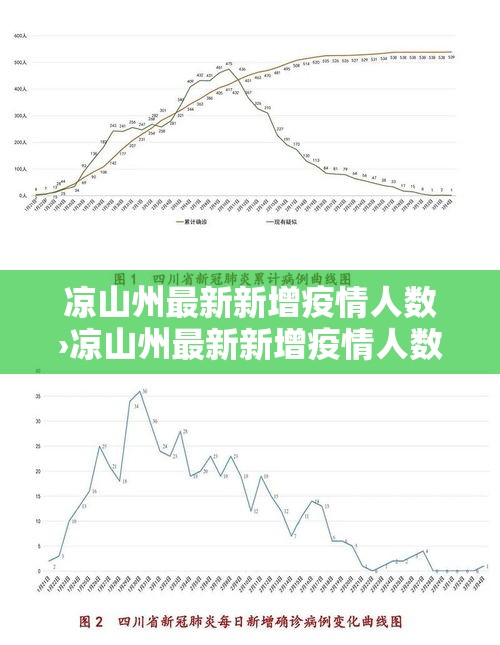 凉山州最新新增疫情人数›凉山州最新新增疫情人数查询