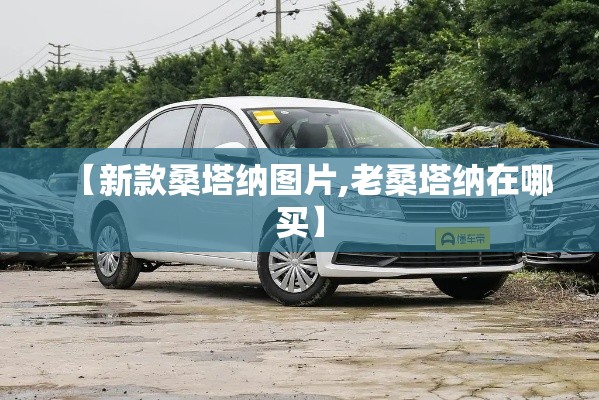 【新款桑塔纳图片,老桑塔纳在哪买】